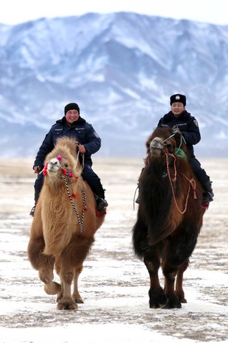 Монгол Улсын дөрвөн зүг, найман зовхист дөрөө харшуулан ард иргэдийнхээ амар амгалан амьдралын төлөө өргөсөн тангарагтаа үнэнчээр ажиллаж байна