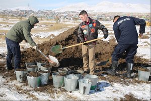 “Олон улсын Эко цэцэрлэгт хүрээлэн”-д мод тарив